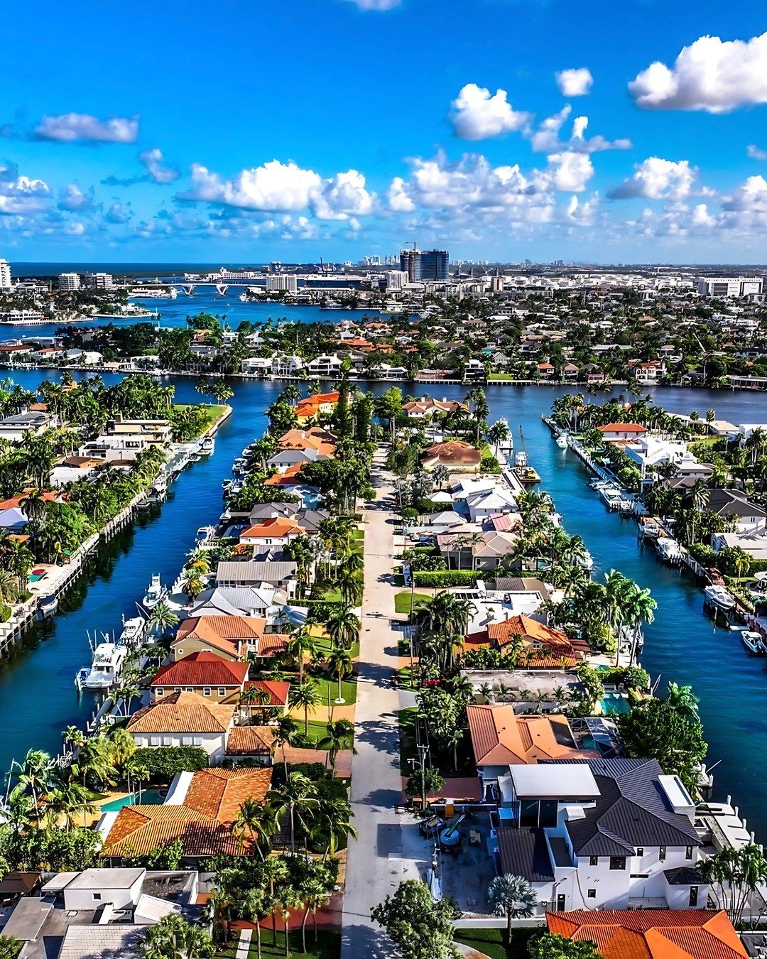 Precision-Engineered Local & Business Travel Hollywood FL